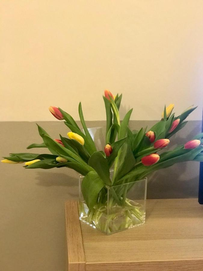 Sonnino Suite Firenze Bagian luar foto